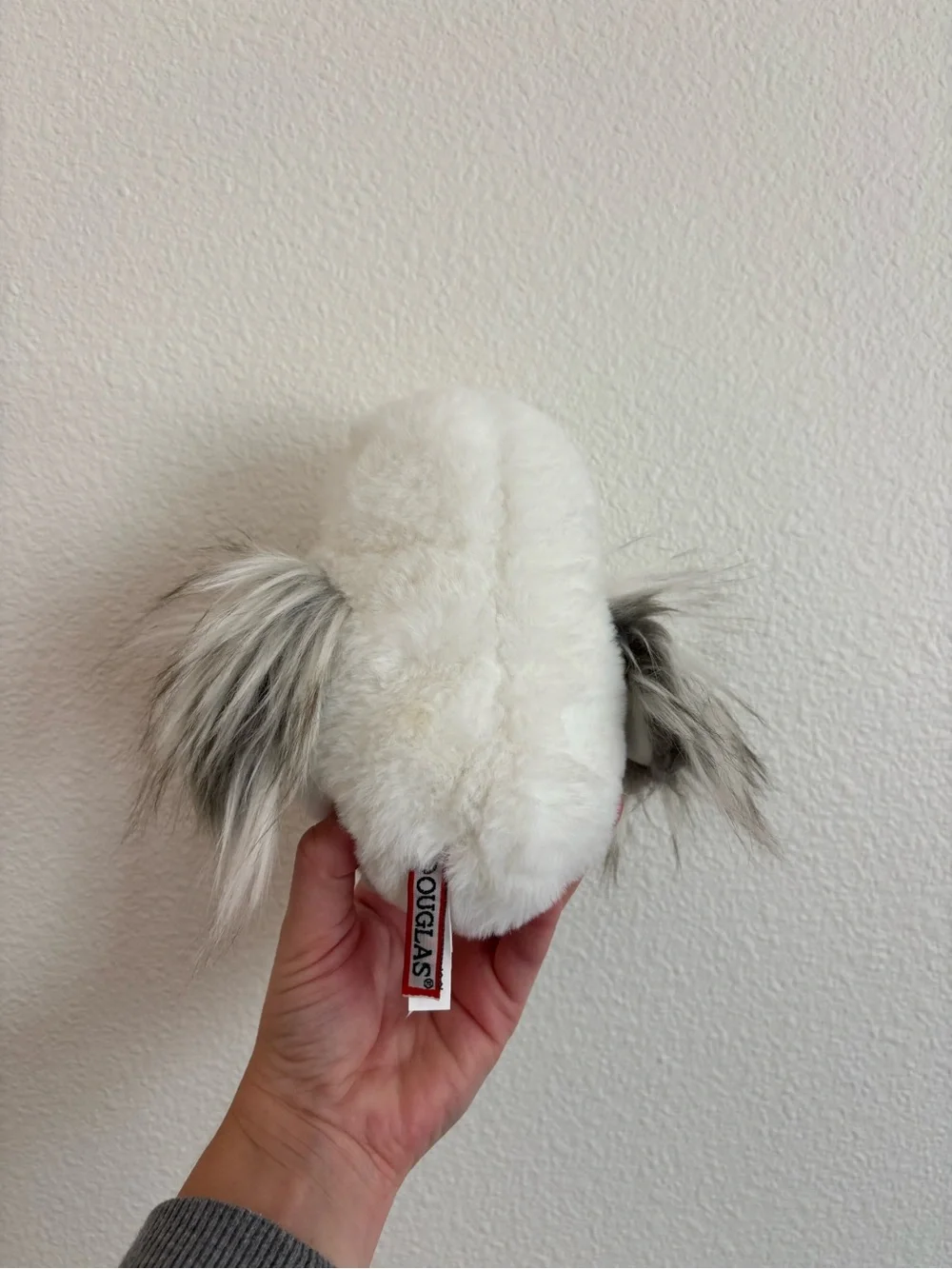Douglas mini owl